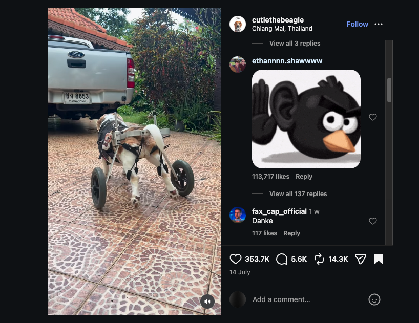 trenchwarrior3's tweet photo. LMAO This RACIST DOG is blowing up and everyone is meme-ing him in comments😭

He's on a wheelchair, which makes it even more funny!

just watch the vid and check comm😭

300k+ likes 3.5m views SUPER VIRAL- never done before.

https://t.co/T289x9nsWW https://t.co/Tg8uzOh7hf