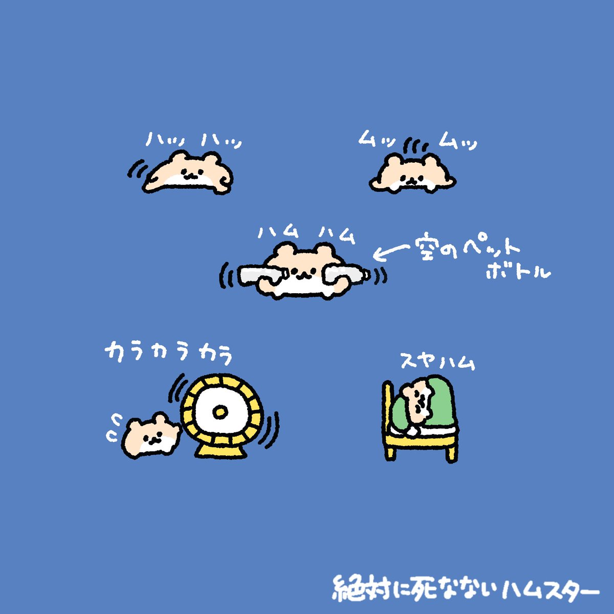 ZETSUHAMU's tweet photo. トレーニングハムスター https://t.co/HwVFBfb4s5