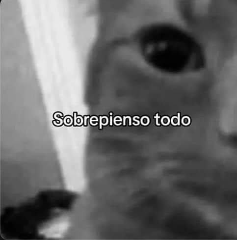 Animalesaprieto's tweet photo. https://t.co/VzzlwUPKRF