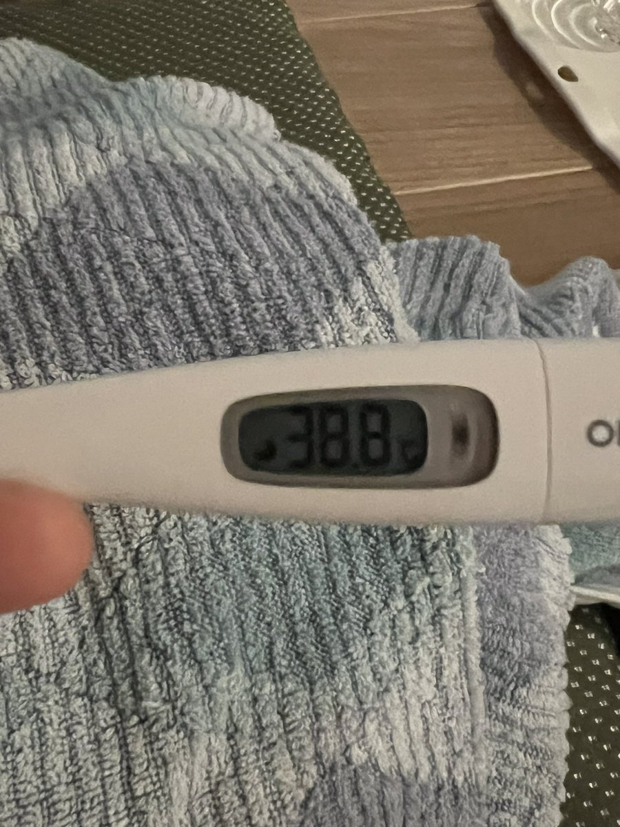 sui_vagrant's tweet photo. 38.8℃になった、辛すぎて死ぬ https://t.co/H4CcsUtDWc