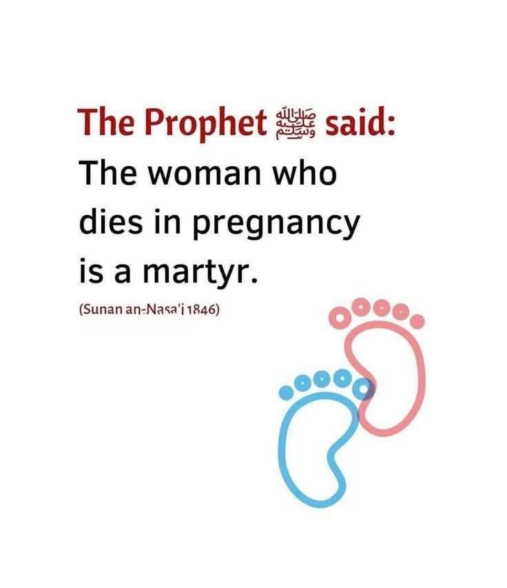 AlHuda247's tweet photo. Prophet Muhammad ﷺ said; https://t.co/EUftncjb9s