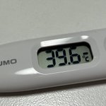Photo by Junky (@Junky_Box)