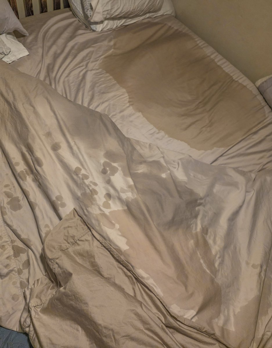 WetAndExposed's tweet photo. Shamefully admitting when my boyfriend is right.. I shouldn't have gone out for tacos lastnight. spicy food makes me thirsty, which makes me wet the bed. Not once but 5x.. I'm fully grown and should be able to wake up and use the toilet. #gaypiss #pissedbed #pisskink #bedwetter https://t.co/sP1lojZZrD