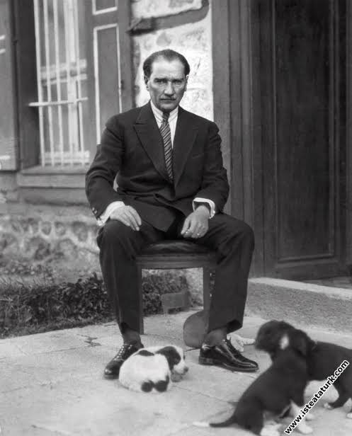 Kedicigimmask's tweet photo. @gokturkk01 @islamyolcusu322 @tepki_tr Yalama kürt fonlandigin kisilerden ayni seyleri copy paste yapma öğrendiğin. O dedigin donemde Atatürk deli gibi hastaydi. Buldugu ilk parayla kuduz asilari aldi hayvanlara. Sen Ataturkun kopek sevgisinin zekatini veremezsin oç https://t.co/68c2BDlckz