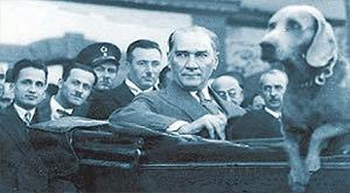 Kedicigimmask's tweet photo. @gokturkk01 @islamyolcusu322 @tepki_tr Yalama kürt fonlandigin kisilerden ayni seyleri copy paste yapma öğrendiğin. O dedigin donemde Atatürk deli gibi hastaydi. Buldugu ilk parayla kuduz asilari aldi hayvanlara. Sen Ataturkun kopek sevgisinin zekatini veremezsin oç https://t.co/68c2BDlckz