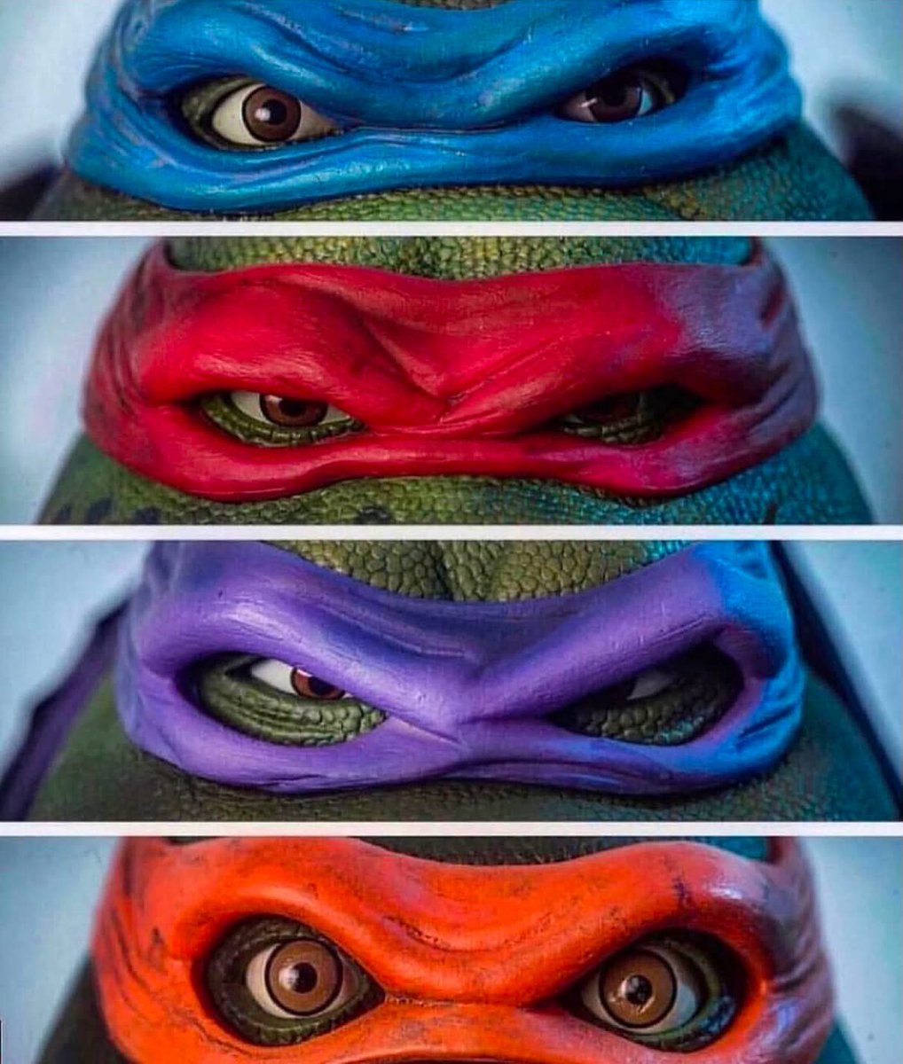 NinjaTurtleLair's tweet photo. Pick your turtle https://t.co/vzW65cWWsZ