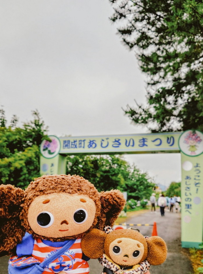 Es100km's tweet photo. らんちゅが楽しそうにしてるの見てずっとうるうるだったよ😭 https://t.co/08Vj1vU1Me