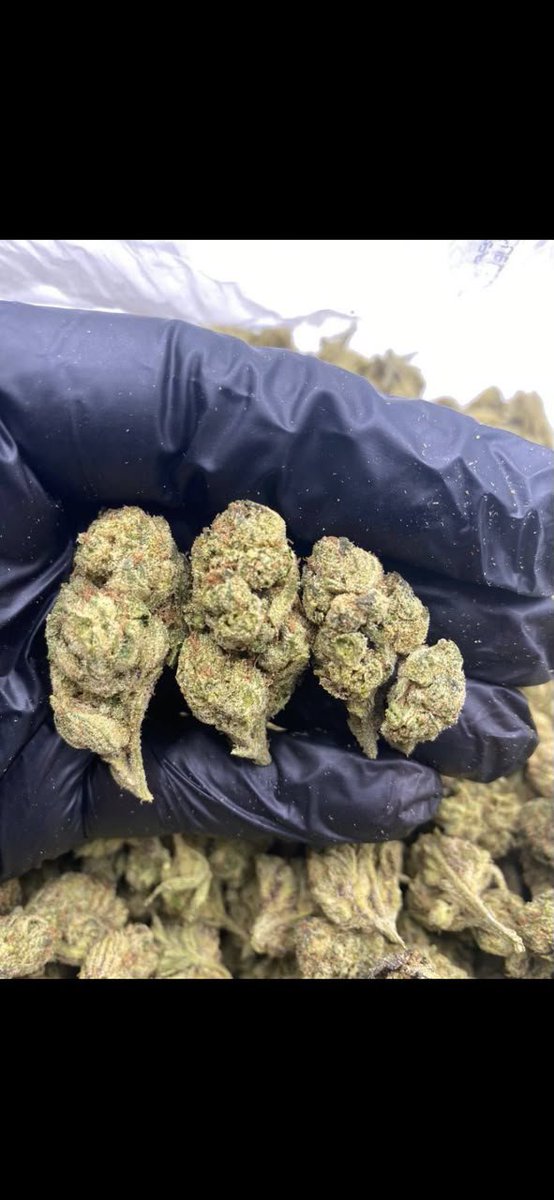 snoopweedplug's tweet photo. Estamos ativos para atender vocês !
Cardápio aqui: https://t.co/CgMd6QGvZp
📍Mercadorias pronta entrega no estado de São Paulo até 00:30!
📍Entregas fora do estado de São Paulo envio feito até 22:30!
✅️Qualidade única
#corre #sp #maconha #delivery #rj #erva https://t.co/jIsNzJWLaO