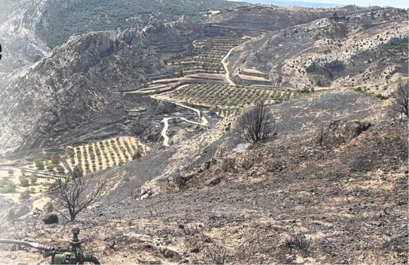 apanalis's tweet photo. 👥El propósito principal es desolar y deshabitar la @EspanaVaciada @TeruelExiste_ para poblarla de placas, molinos y Tierras raras.
🔥🔥🔥
Seguid aplaudiendo la Maldita Agenda y acabaréis confinados en las grandes urbes vigiladas.
#Vuelo_2085⚫️🔴 https://t.co/2OnhAA42wJ