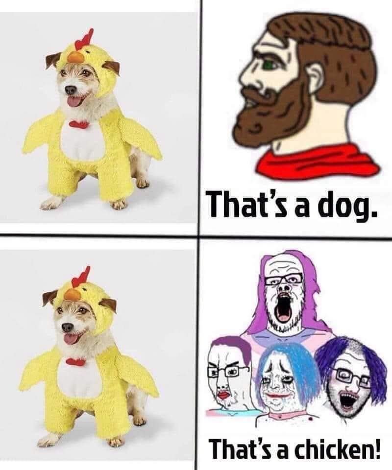 TrollingCanuck's tweet photo. 😂 https://t.co/5C0IOXQZAj