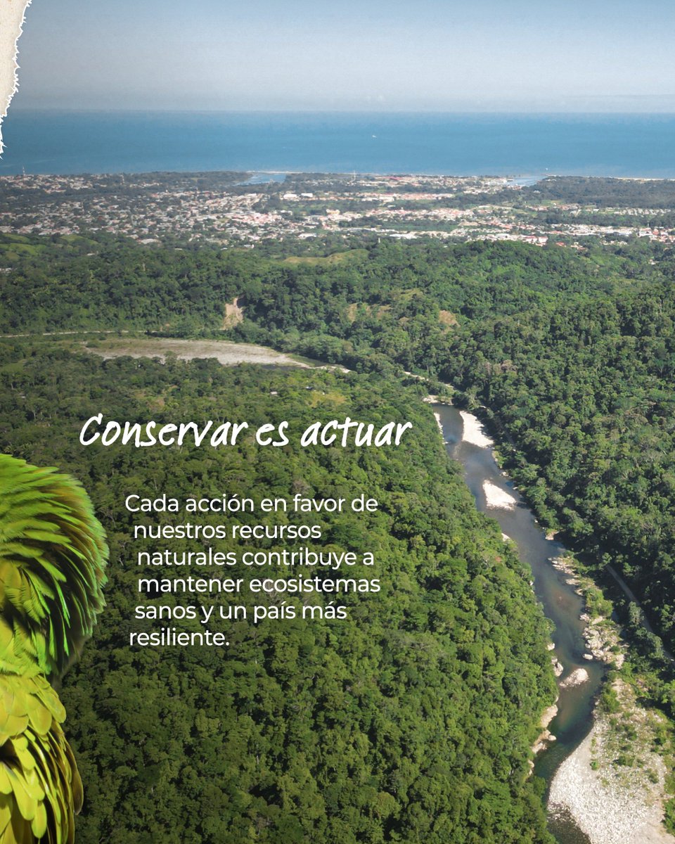 sernaHN's tweet photo. Nuestra riqueza natural representa vida, equilibrio y bienestar.🌱

En el marco del Día Mundial de la Conservación de la Naturaleza, destacamos la importancia de proteger los ecosistemas y la biodiversidad que forman parte del patrimonio natural de Honduras.

Desde SERNA continuamos impulsando acciones orientadas a la conservación y al uso responsable de nuestros recursos naturales.

Cuidar la naturaleza también es cuidar Honduras.