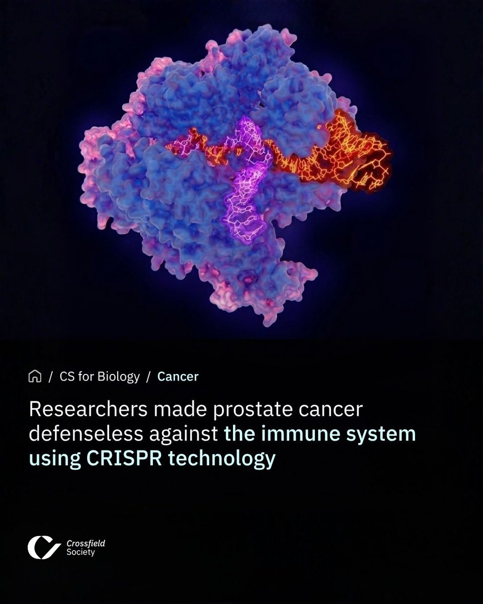 CSBIOGlobal's tweet photo. Researchers at University of Rochester Medicine used CRISPR to make prostate cancer vulnerable to immunotherapy. Led by Eric J. Wagner, the team identified how tumors become invisible to the immune system. #CRISPR #ProstateCancer #Immunotherapy https://t.co/zLccE9UwX3