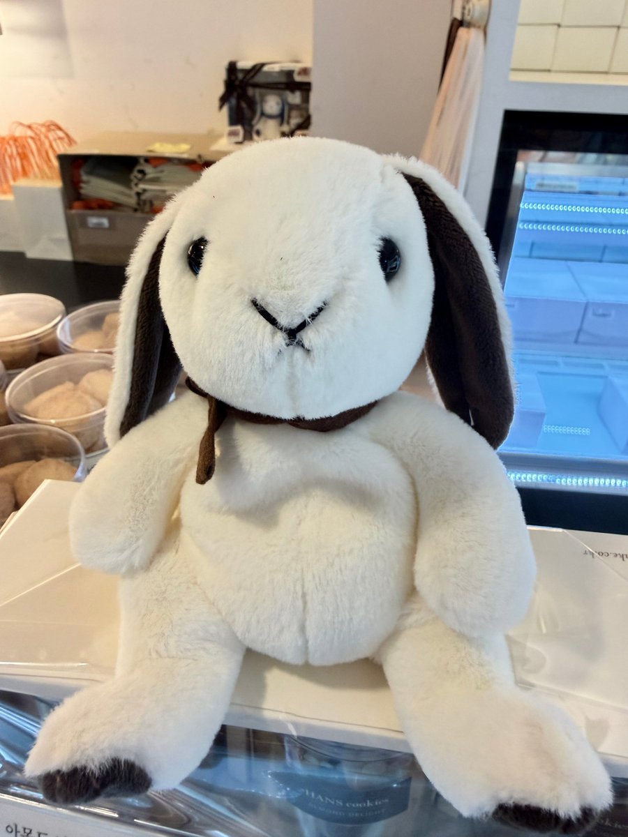 wantchu___'s tweet photo. 듀아아 귀엽다••• https://t.co/zwapVdOeFD