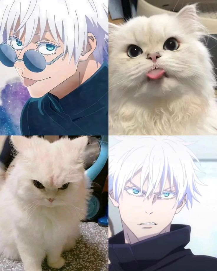 anime_shots's tweet photo. Same energy https://t.co/CeHbQUe00M
