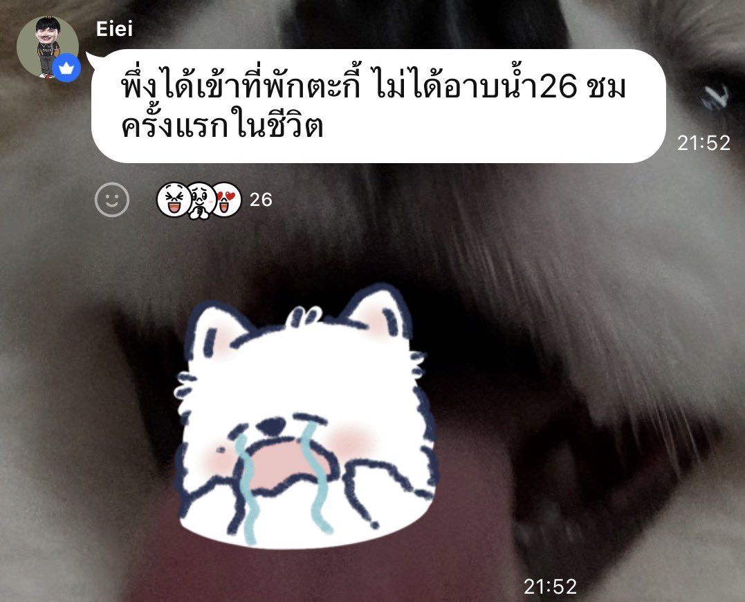 shipshawoltl's tweet photo. คนอื่นลงสตอรี่กันไม่หยุด ไอ่ม่อนเครียดอยากอาบน้ำ5555555 https://t.co/7405SBqqjI