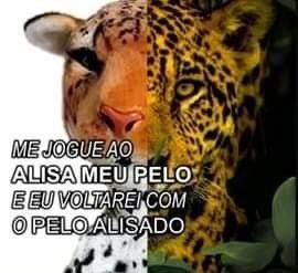 shitpostverdade's tweet photo. https://t.co/5oUFsFB1jH