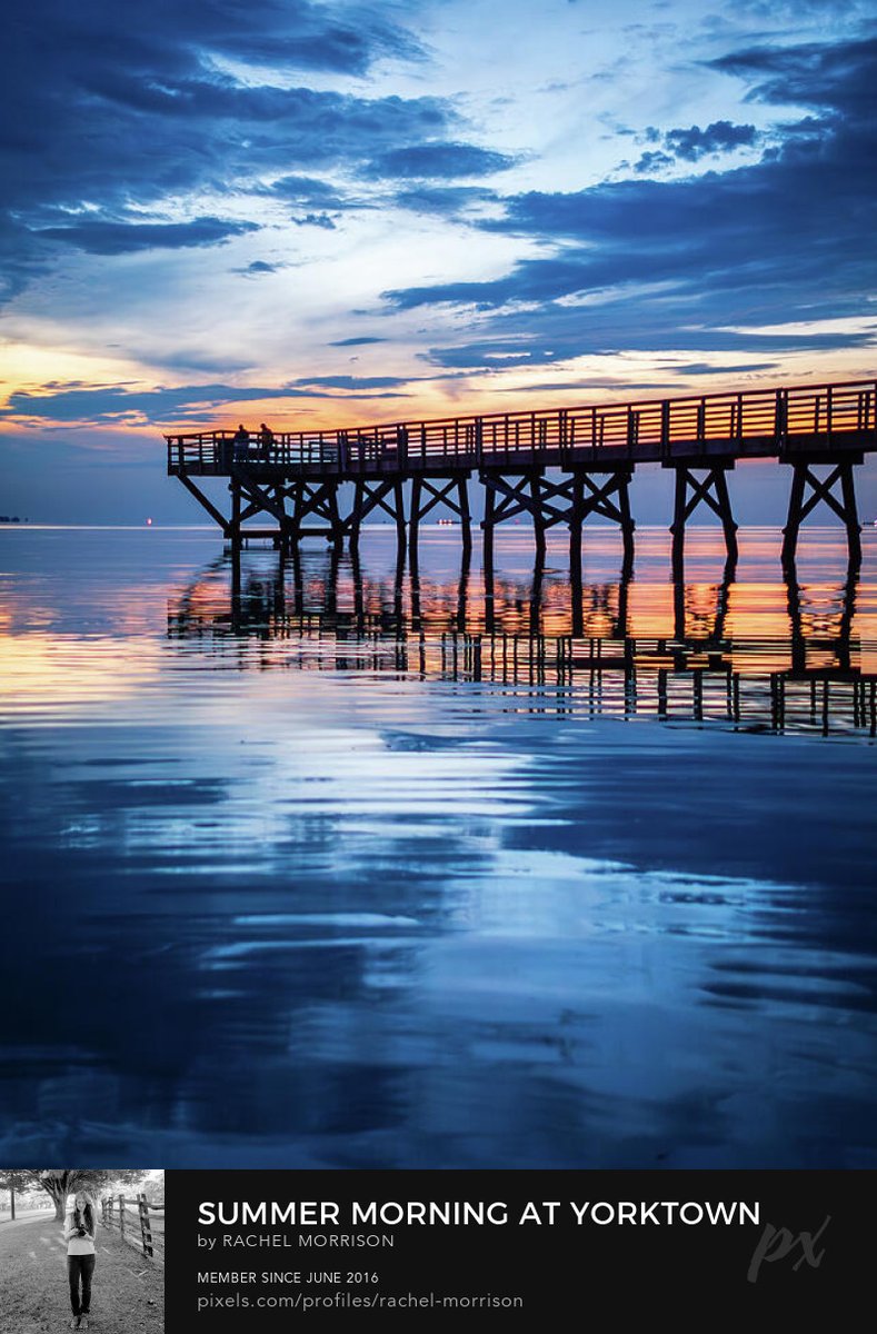 rachllea's tweet photo. Summer Morning at Yorktown Fishing Pier

💜  https://t.co/SsEsG6xlfj

#wallart #photography https://t.co/f1UYvm7sf0