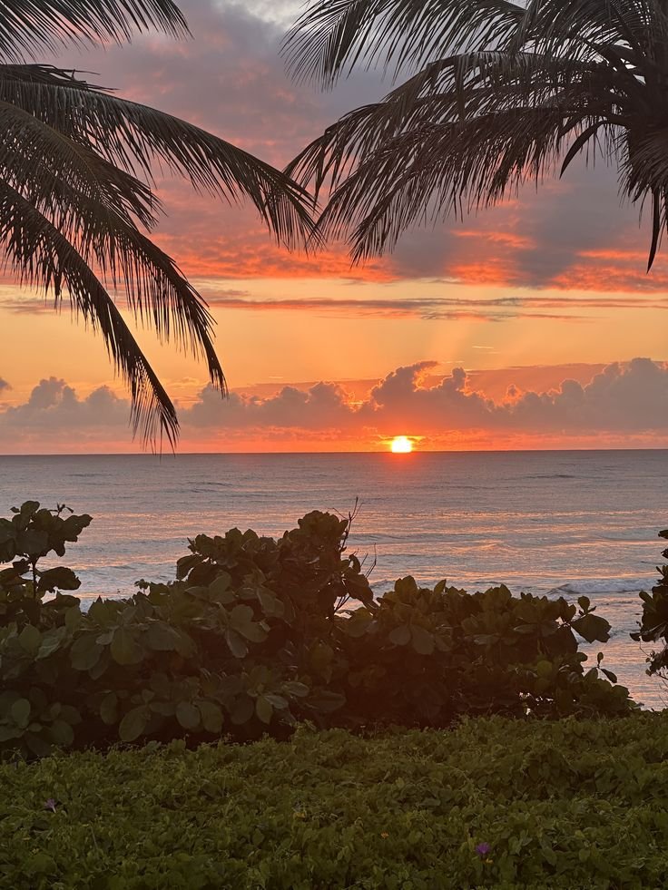 hawsett4's tweet photo. As the day fades... https://t.co/uN0ltmSVSh