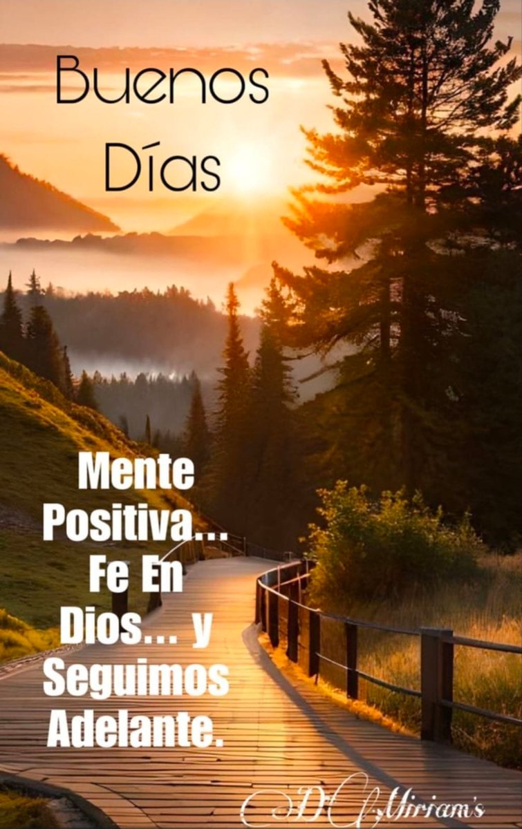 aralimim's tweet photo. @vialhermes https://t.co/K04HAZQgyJ