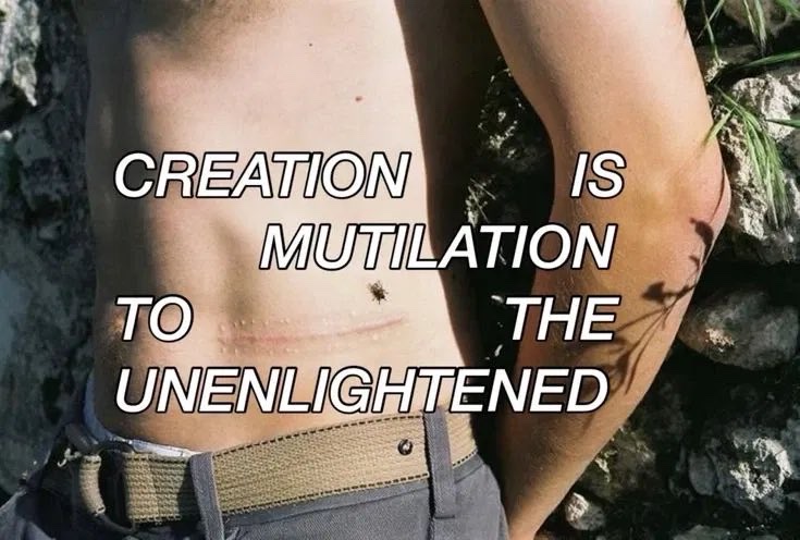 1thousandfaces_'s tweet photo. boyfriend asked why there’s forcefem but not forcemasc so I was able to enlighten him with one of my favorite genre of image macros https://t.co/nbqFg7j8lu