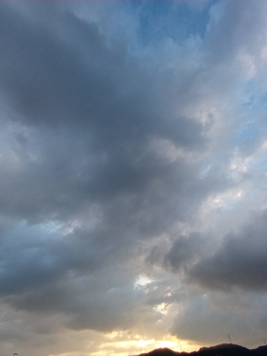 7S9iox4ccWsblAD's tweet photo. 昨日の夕方
すごい豪雨の
次の日の朝

#朝散歩
#キリトリセカイ https://t.co/k4n0U4OmFo