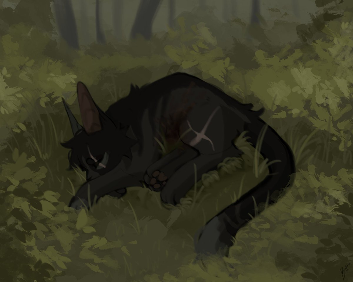 Dahlixbat's tweet photo. 🖤🌱 https://t.co/IjGOhzIBH4