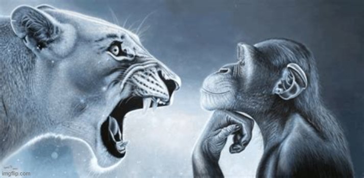qopter_'s tweet photo. #temptationisland https://t.co/H7YDXGC0Ya