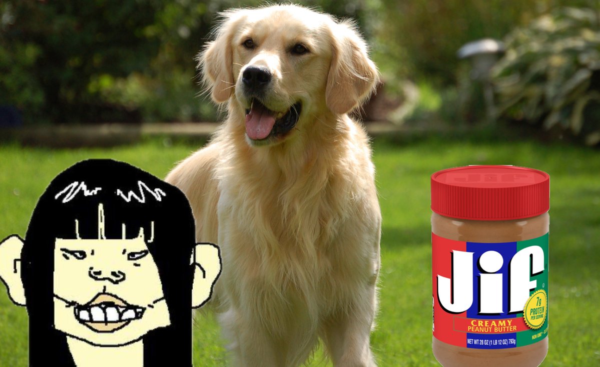 pond_anon's tweet photo. @RealDianeYap You don’t get men, you’re an unattractive Asian who feeds her dog peanut butter https://t.co/43KyXR0j0j