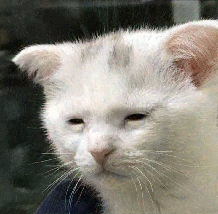 Vulppez's tweet photo. "man i can't wait to go home and play games tonight"

also me after work https://t.co/wFblJcrotD