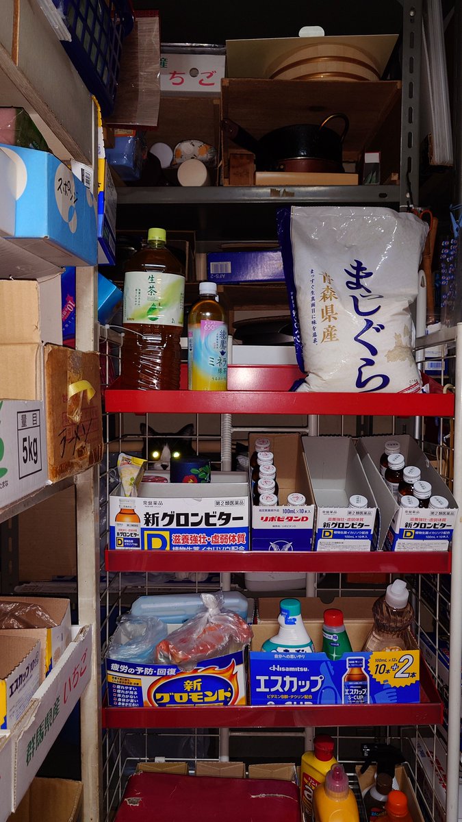 shijimiton's tweet photo. あんこがパントリーに隠れた😅 https://t.co/xE5Xvod2bF
