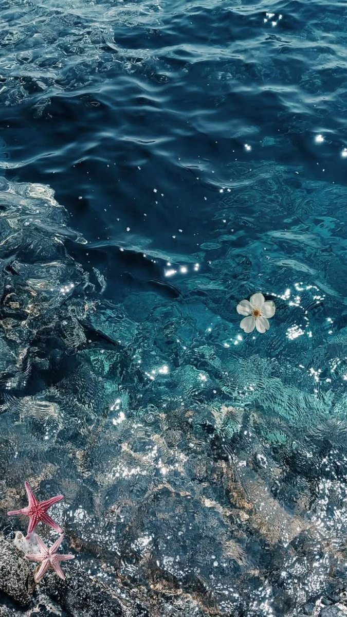oceanweavee's tweet photo. Sea therapy https://t.co/GlvEwdtEBM