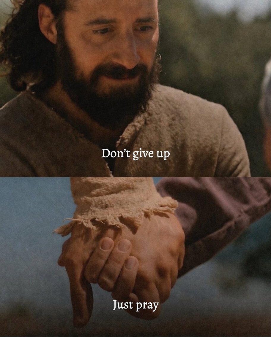 altinekasre1's tweet photo. Don't give up. Just pray. https://t.co/zSmnpcIQAY