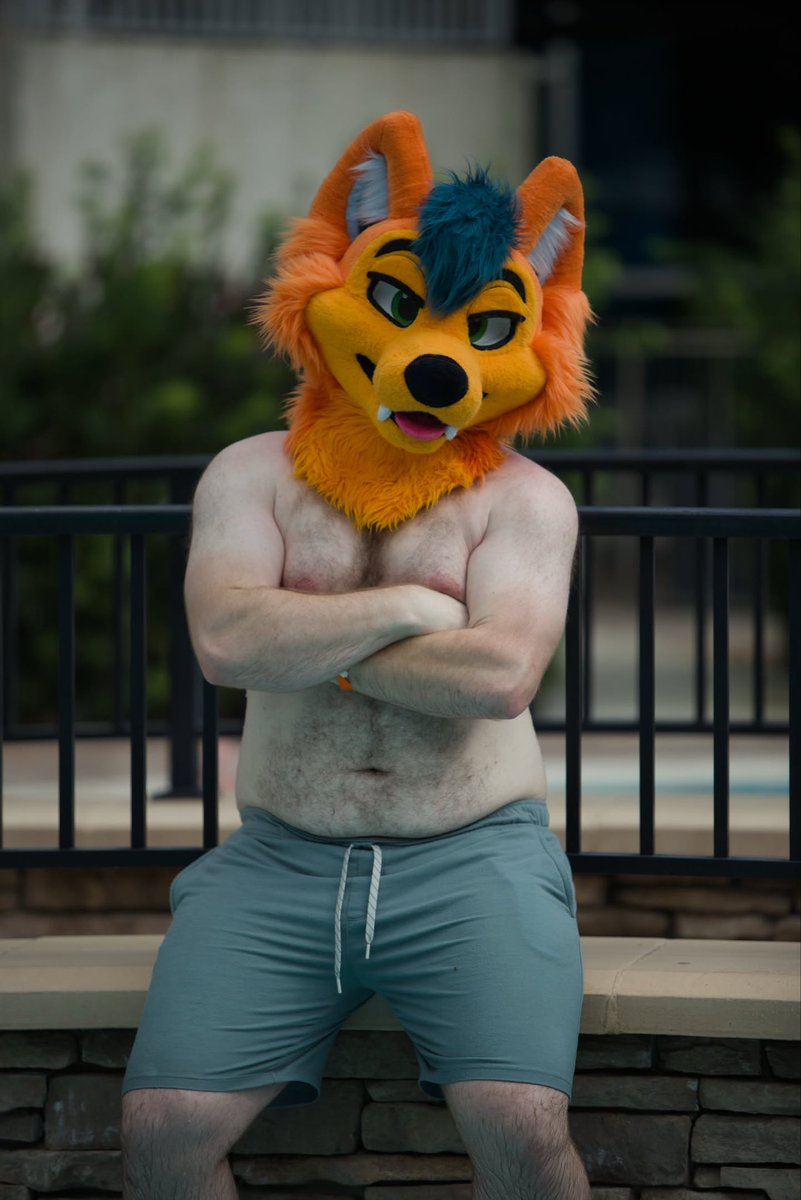 SumDingoFL's tweet photo. It’s almost time for Megaplex pool pics again #tummytuesday https://t.co/UxcrseYuzb