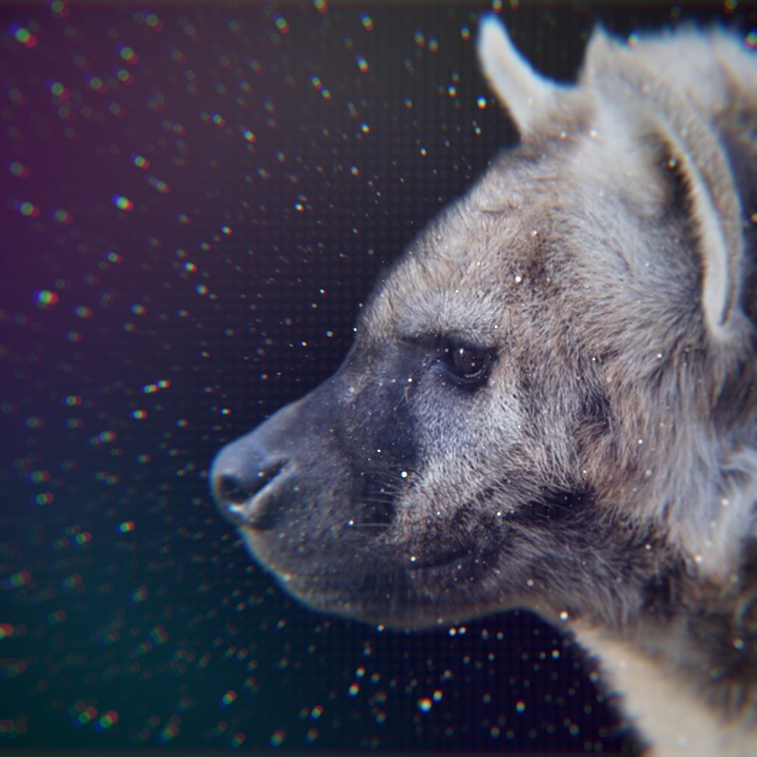 hyenasdotcom's tweet photo. thinking about biting you https://t.co/3b8xJZZ3jx