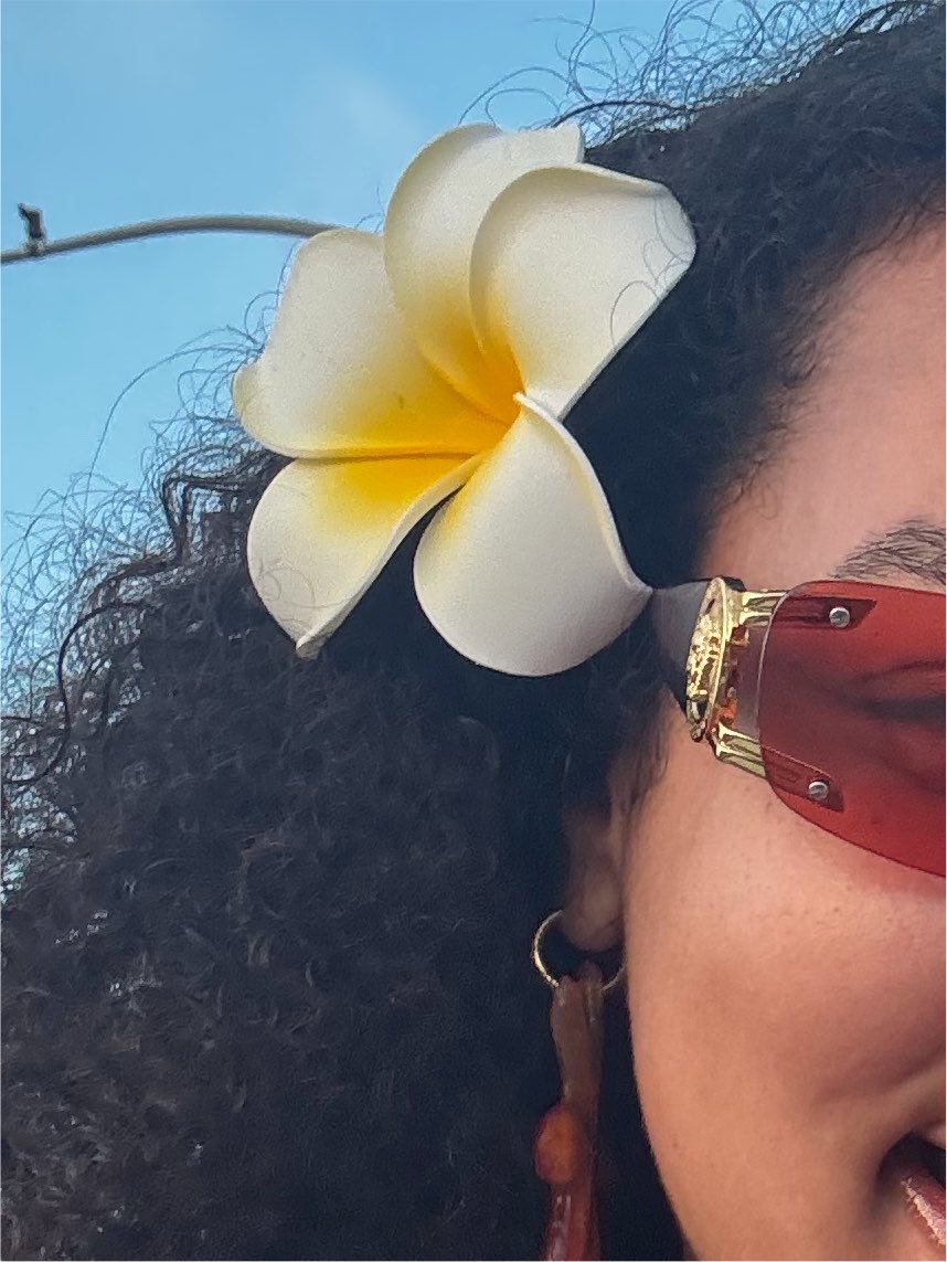 AlexAstorAlt's tweet photo. Respect the flower. I’m in vacation mode 🌺 https://t.co/pfFjb7n9xF