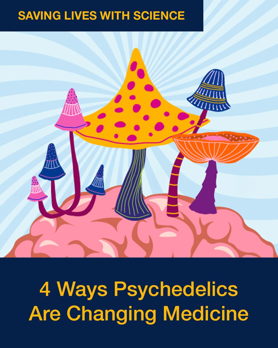 UCSF's tweet photo. Could psychedelics help treat depression? Scientists are studying compounds like psilocybin, LSD and ibogaine to explore ways to treat depression, Parkinson's disease and addiction. Long-term federal investment in science helps make this research possible. https://t.co/VND55ajqve https://t.co/Fsm3ttcQgS