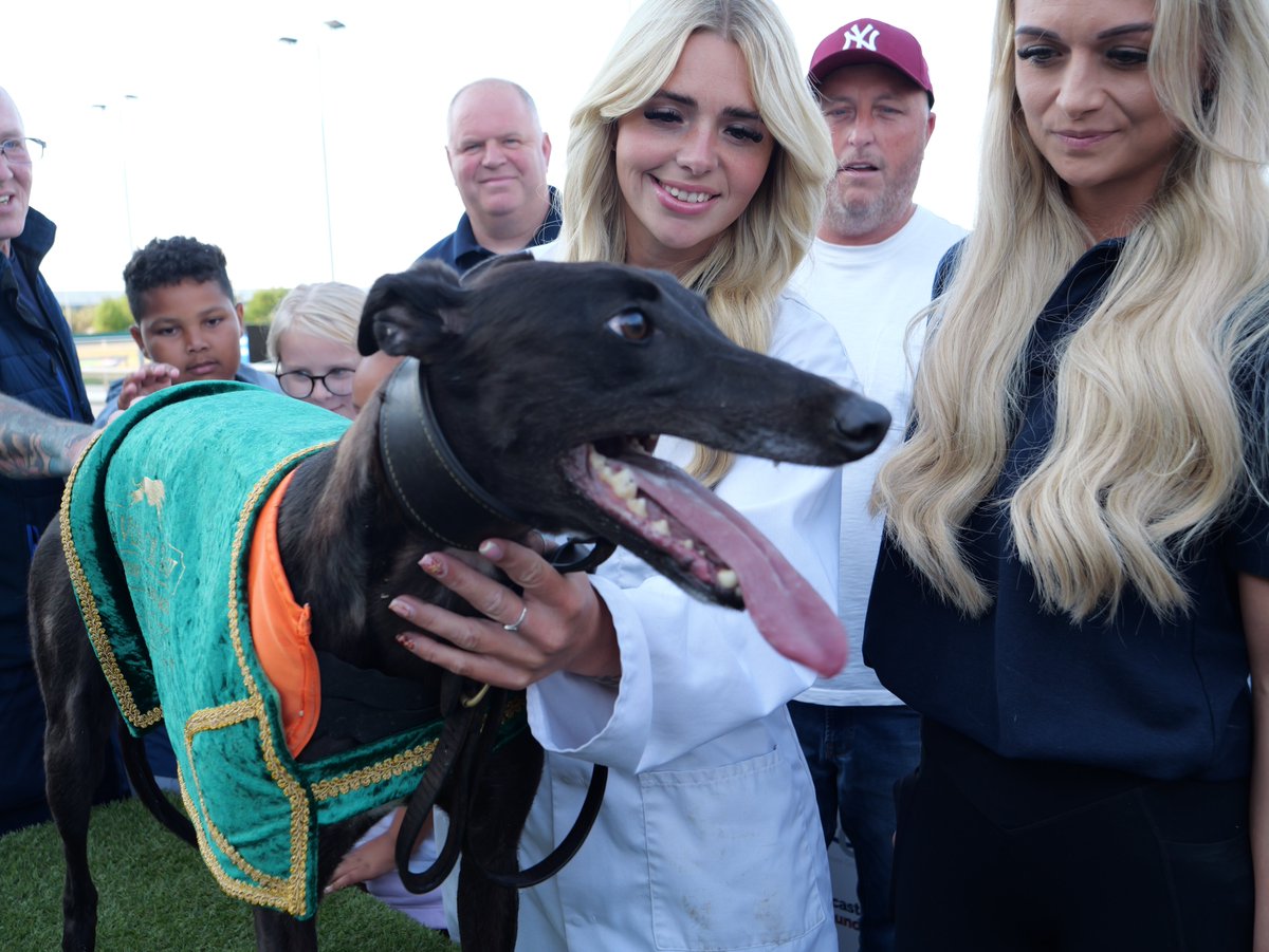 Newcastle Greyhound Stadium tweet media
