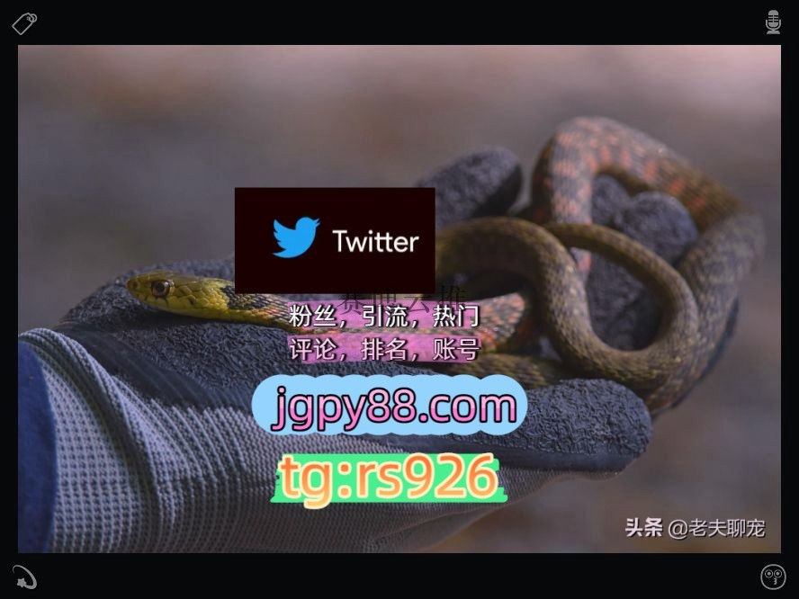l_zwolinski93's tweet photo. Be selfless in small simple ways.哈尔滨
海外获客🪐主人的任务🌱海外流量、品牌推广、社媒营销外🪓facebook自动脚本
软件获客、海外推广、流量增长推特账号注册号台州
海外流量、品牌推广、社媒营销排名号围114996代发青岛
世界杯金华代发沈阳杭1州、成1都、南1京、武1汉、重1庆、苏1州
推特软 https://t.co/iGQJqxLqwP