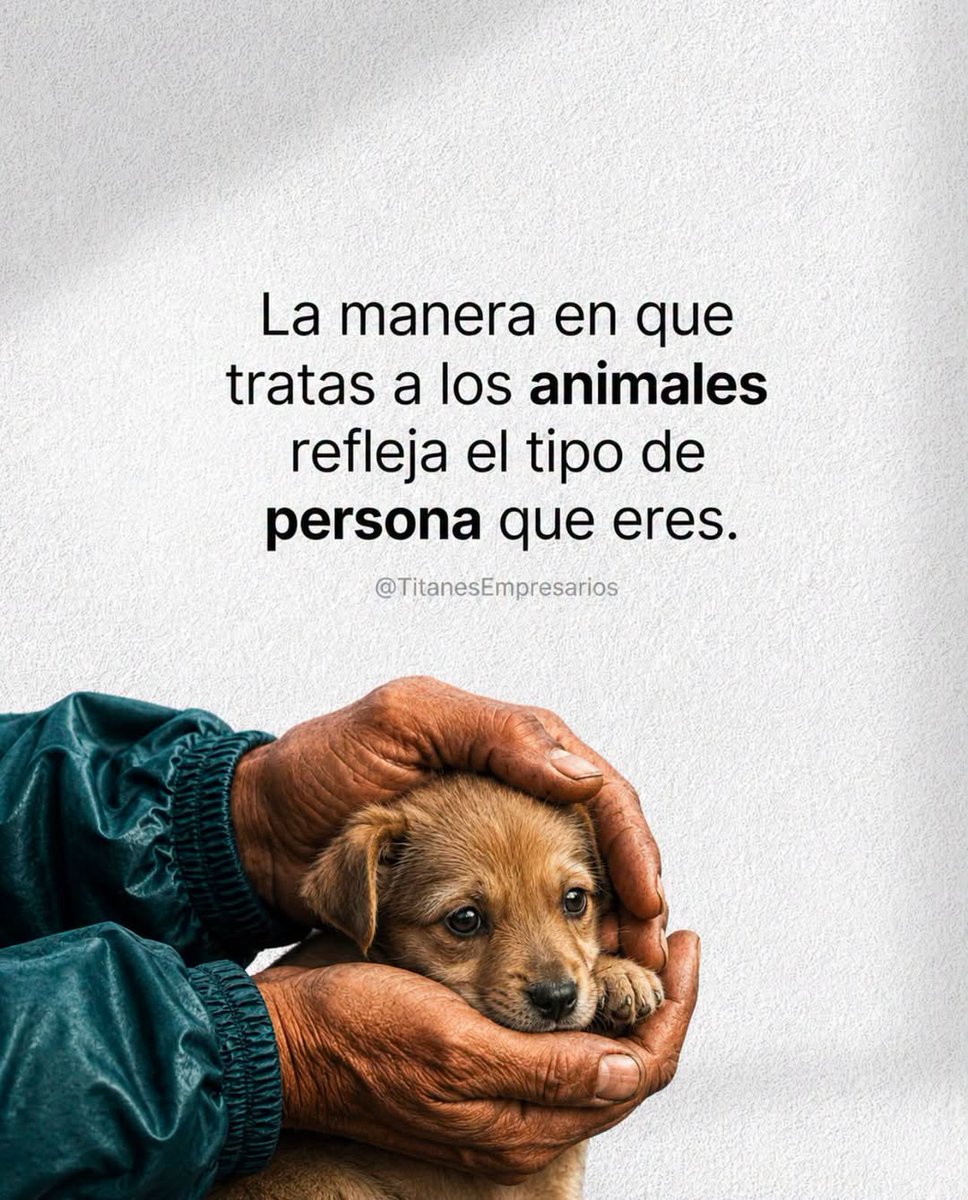 jocperiodista's tweet photo. https://t.co/wqIIOlmQPV
