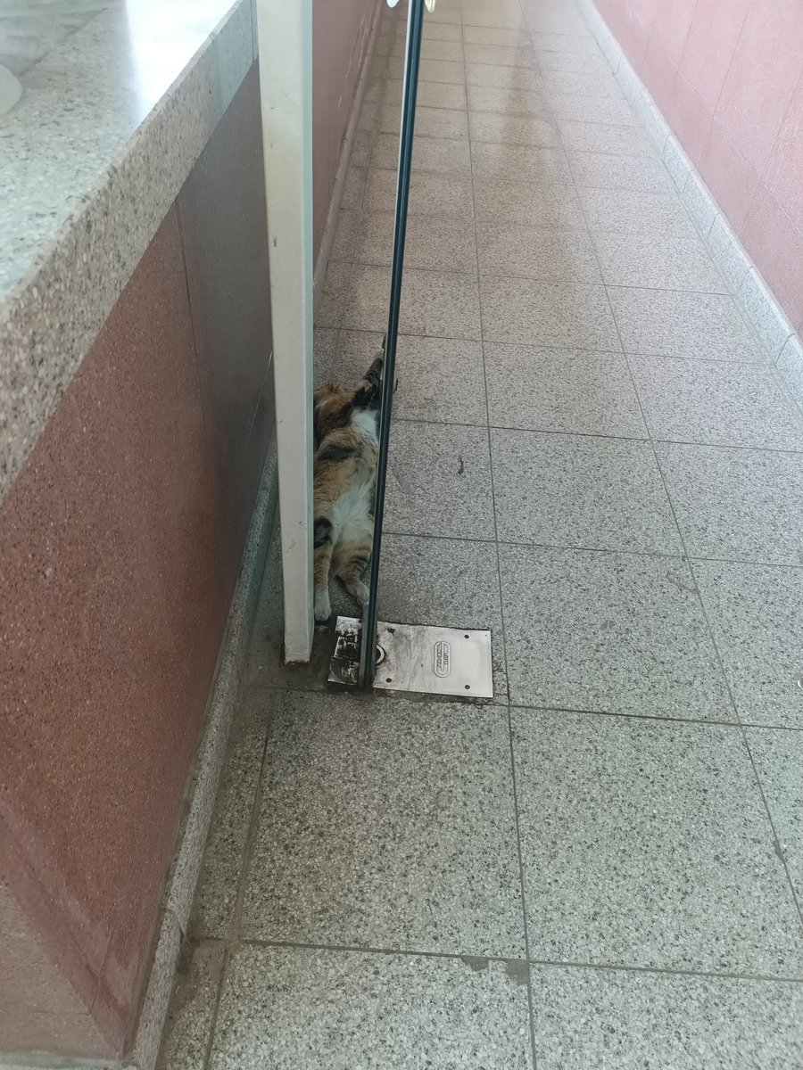 mootinyo's tweet photo. Çok ilginç bir tarzı var 😂 https://t.co/DdpWfJE73E