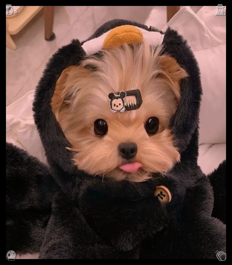 Gimpupp's tweet photo. Hold onto hope every single day. Don't rely on huge, sudden bursts of motivation to achieve your everyday tasks. Instead, consistent small daily habits keep you moving ahead through dull, uninspiring emotional periods without stopping or giving up. https://t.co/E6PHRh77ii