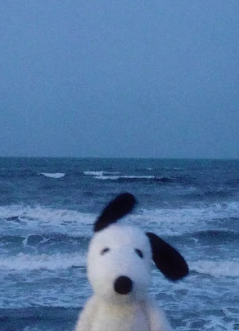 kaileybear010's tweet photo. Beach day mood Snoopy plush in tow, soaking up the sea breeze and good vibes
UpKt https://t.co/EOf11snS87
