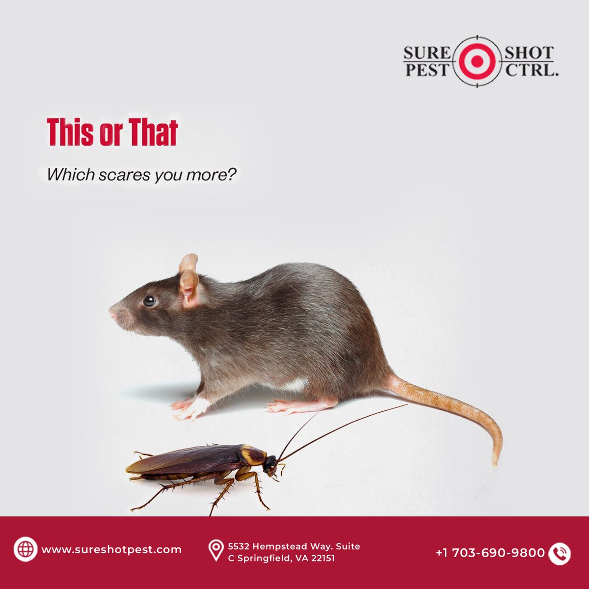 sure_shotpest's tweet photo. This or That?
Rat in the attic ๐OR Roach in the kitchen ๐ชณ Which scares you more? Good news: You donโt have to live with either.
Call US: +1 703-690-9800
https://t.co/UWlRmw1GA8
#RatControl #CockroachControl #SpringfieldVA #PestControl #SureShotPest https://t.co/q86kEgVoeH