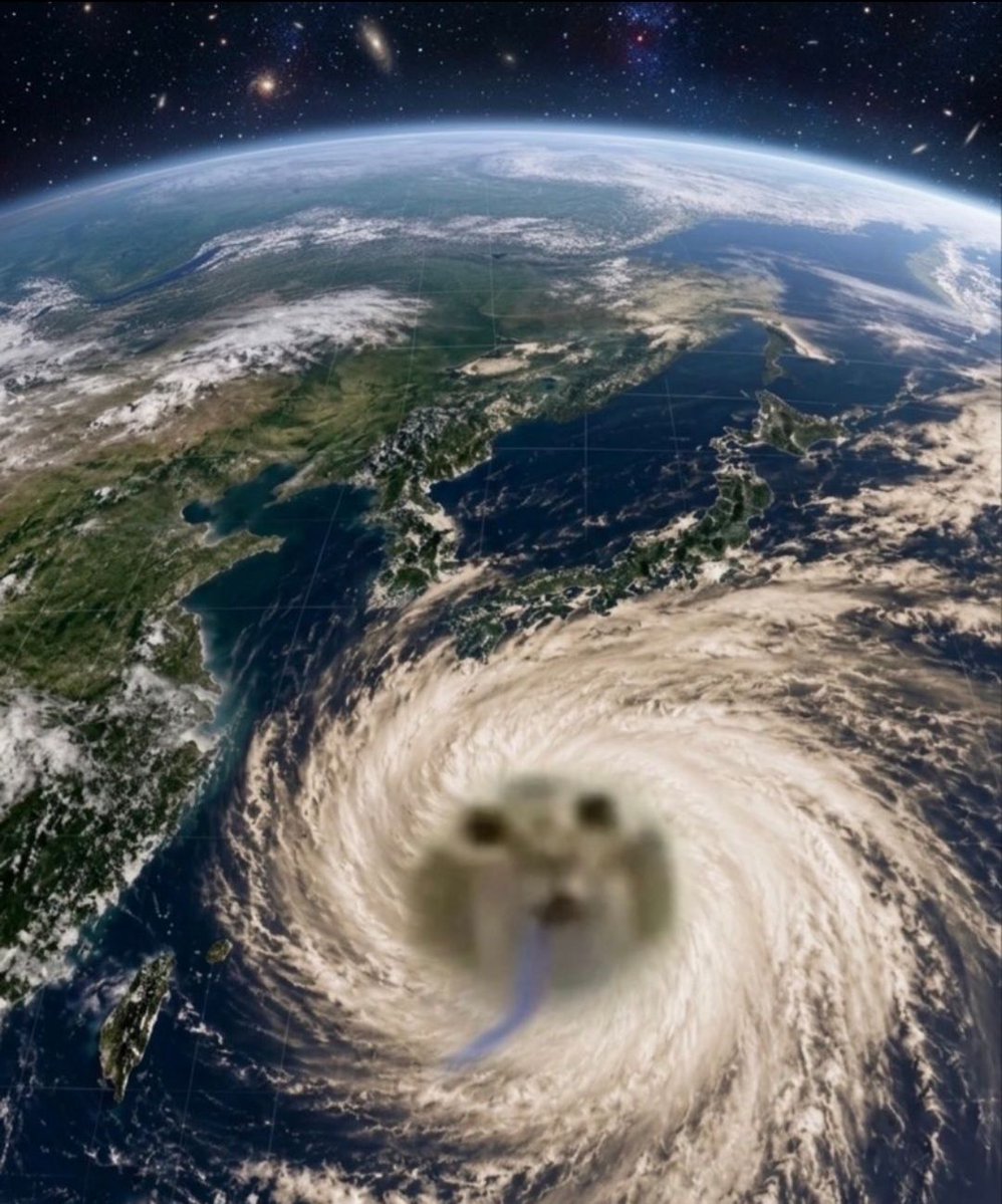 droolingcatCTO tweet picture