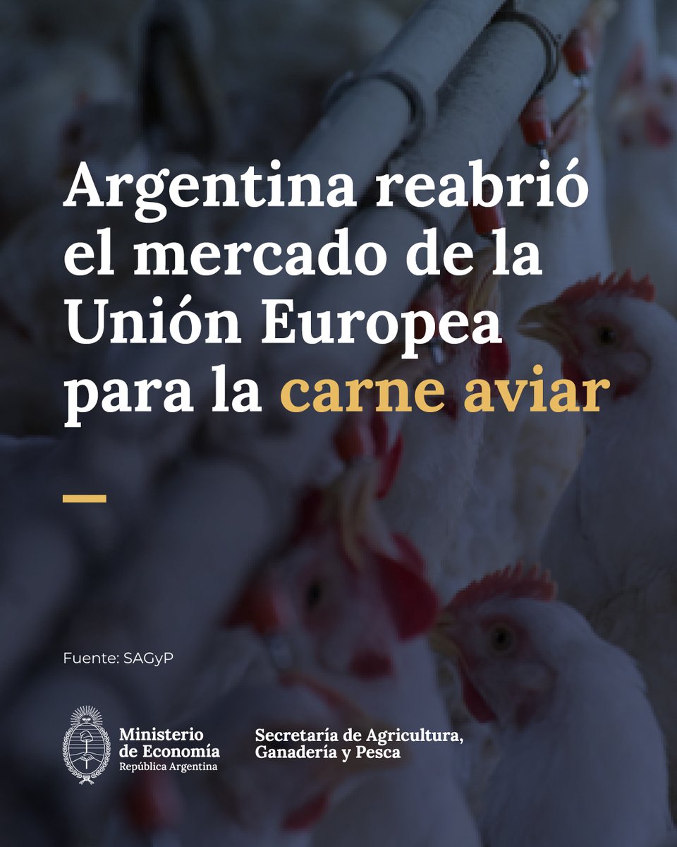 MinEconomia_Ar's tweet photo. Argentina recupera un mercado estratégico gracias al trabajo del sistema sanitario nacional, un paso clave que ratifica el reconocimiento internacional a la calidad, inocuidad y confiabilidad de nuestra producción.

Más información 👇
https://t.co/xyT8GLBLM0 https://t.co/L1uiqB1wKe