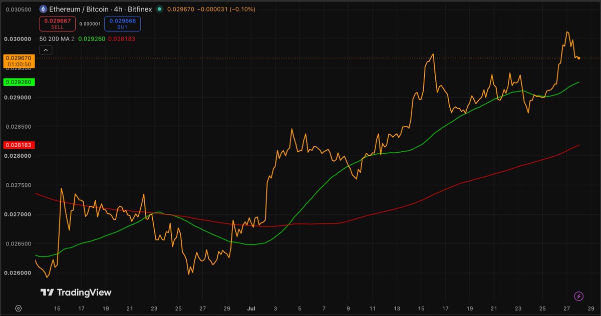 Bitfinex tweet media