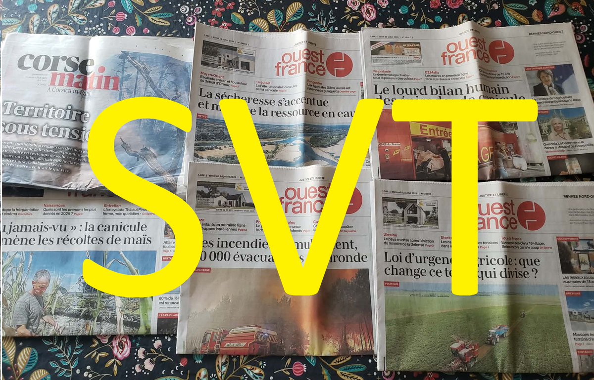 vivelesSVT's tweet photo. Sécheresse, pesticides, ressources en eau, incendies…

L'actualité le rappelle chaque jour : les SVT sont indispensables pour comprendre le monde et préparer l'avenir https://t.co/h2aY5eJUDW