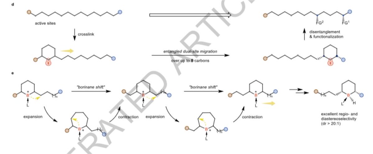 YangjianQUAN's tweet photo. Check out our recent discovery of “entangled dual site migration”, https://t.co/LXMydYcVi3 @Nature @Boron_Chemistry https://t.co/WZTwGyQhPB