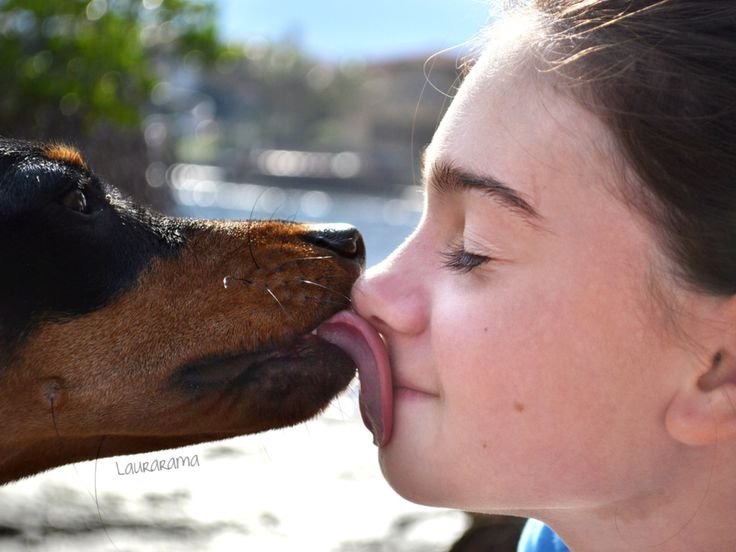 ARTOFZOO2v's tweet photo. That feeling 🥰💋🐶
#dogsofX #artofzoo #doglovers https://t.co/XlKCEzK9yE