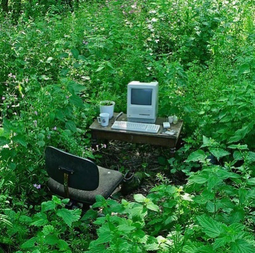 rare_jpg's tweet photo. https://t.co/6ill48VWj0